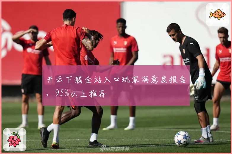 开云下载全站入口玩家满意度报告,95%以上推荐