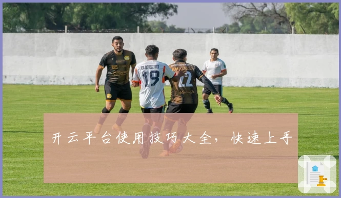 开云平台使用技巧大全，快速上手