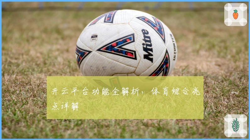 开云平台功能全解析,体育综合亮点详解