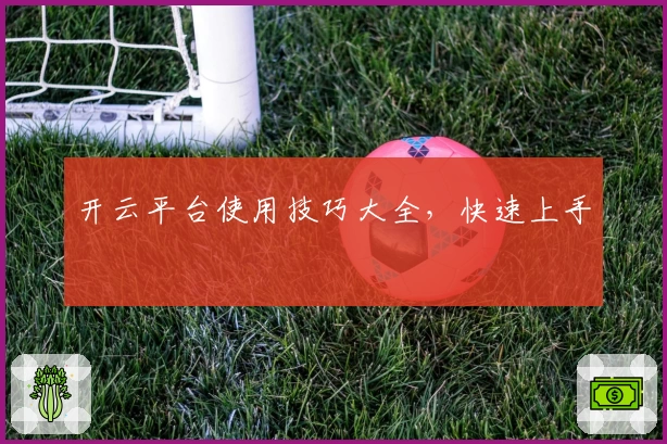 开云平台使用技巧大全，快速上手