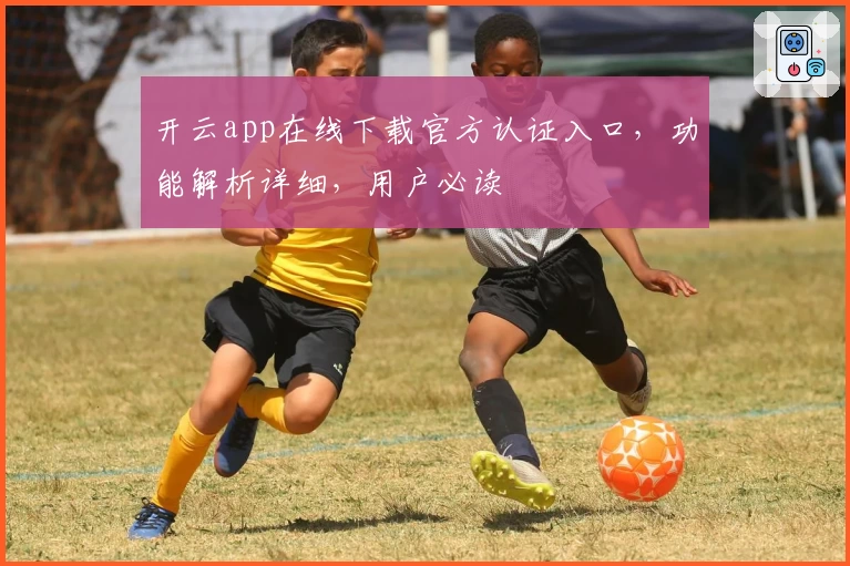 开云app在线下载官方认证入口，功能解析详细，用户必读