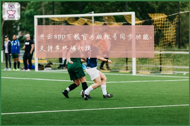 开云app下载官方版账号同步功能，支持多终端切换