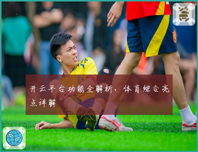 开云平台功能全解析，体育综合亮点详解