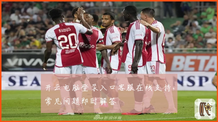 开云电脑登录入口客服在线支持,常见问题即时解答