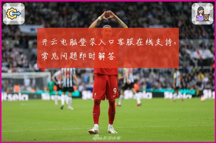 开云电脑登录入口客服在线支持,常见问题即时解答